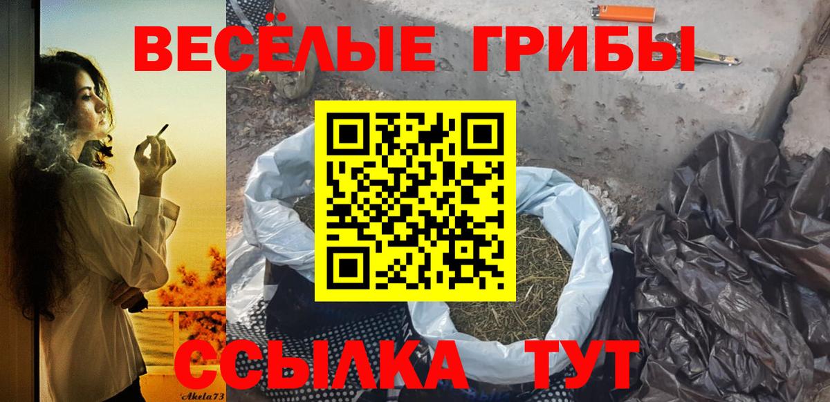 Галлюциногенные грибы мухоморы  Вход с VPN  Кострома 